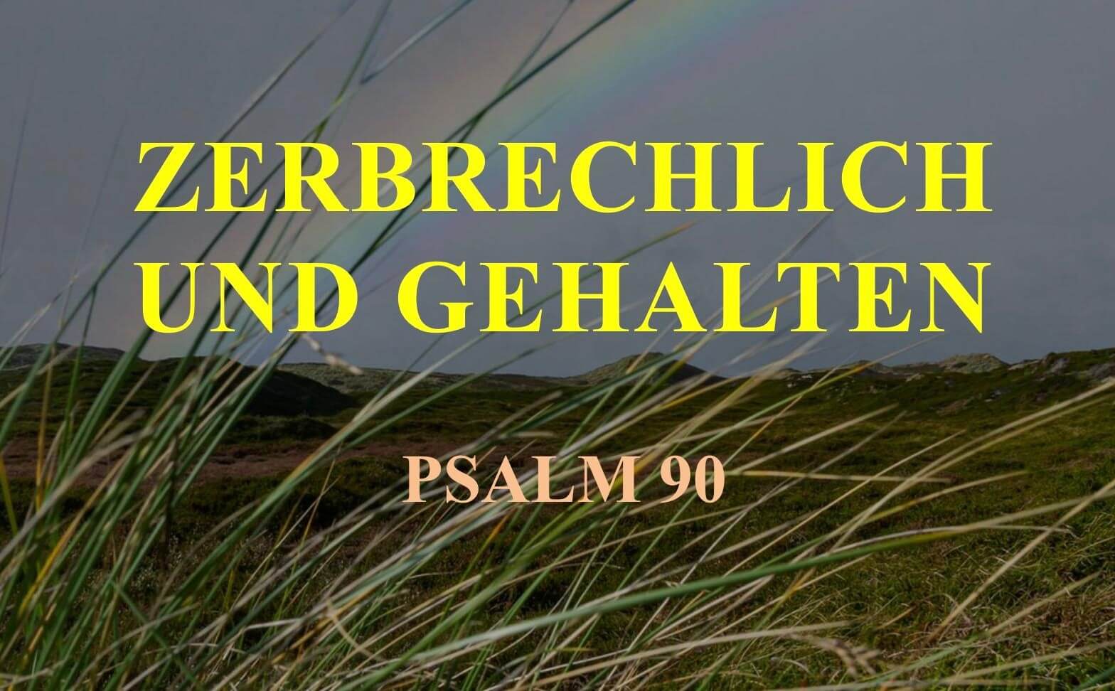 https://www.vivakirche-wehntal.ch/wp-content/uploads/2025/07/Zerbrechlich-und-gehalten-schmal.jpg https://www.vivakirche-wehntal.ch/wp-content/uploads/2025/07/Zerbrechlich-und-gehalten-schmal.jpg