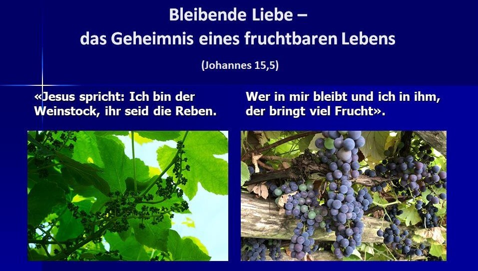 https://www.vivakirche-wehntal.ch/wp-content/uploads/2025/09/Bleibende-Liebe.jpg https://www.vivakirche-wehntal.ch/wp-content/uploads/2025/09/Bleibende-Liebe.jpg