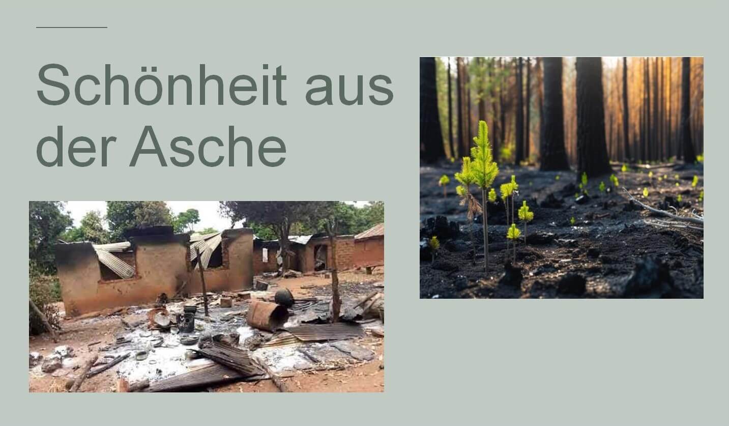 SCHÖNHEIT AUS ASCHE